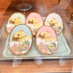 Photo taken by Lisa H