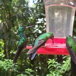 Photo taken by Darla D