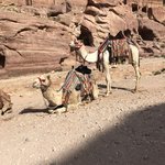 Petra  | Photo taken by Margaret K