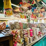 Photo taken by Ananya B