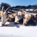 Photo taken by Bill R