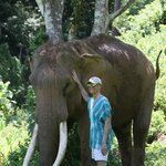 Photo taken by Julien C