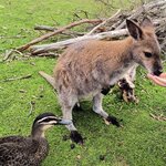 Photo taken by Kaitlin J