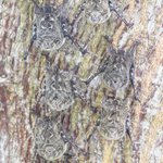 Photo taken by Graeme W