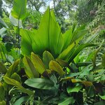 Photo taken by Sabiha K