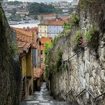 Photo taken by Mary A