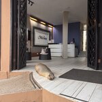 Photo taken by Ben S