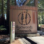 Photo taken by Sharon P