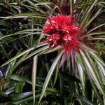 Photo taken by Kim L