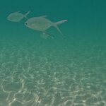 Photo taken by Julie H