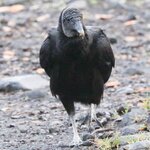 Photo taken by Joyce C