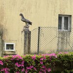 Photo taken by Catherine H