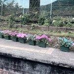 Photo taken by JR L