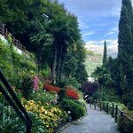 Photo taken by Laurie W