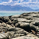 Photo taken by Kaya W