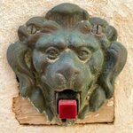 Photo taken by Allison S