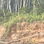 Photo taken by Shanthi V