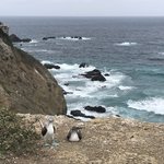 Photo taken by Jessica y