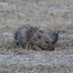 Photo taken by John B