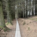 Photo taken by Nicki S