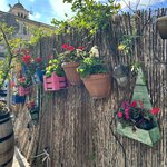 Photo taken by Jim M