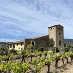 Photo taken by Joey R