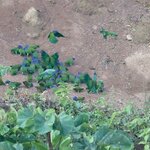 Photo taken by Nicole S