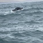 Photo taken by Nan K