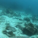 Photo taken by Stephanie A