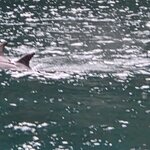 Photo taken by Iris W