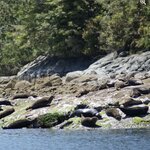 Photo taken by Debbie W