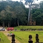 Photo taken by Karen S