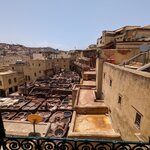 Photo taken by Roni E