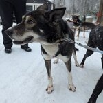 Photo taken by KRISTIN T