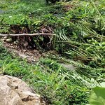 Photo taken by Kathy K