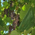 Photo taken by jenny G