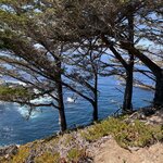 Photo taken by kirsten b