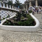 Photo taken by Suzanne S