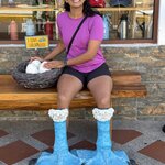 Photo taken by Narasimhachar P