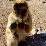 Photo taken by Marcello A