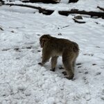 Photo taken by Logan J