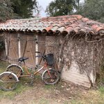 Photo taken by Graciela P