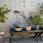 Photo taken by Andrea Y