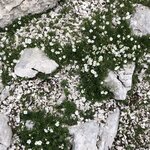 Photo taken by David A