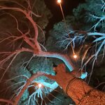 Photo taken by Doug A