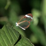 Photo taken by Anna L