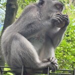 Photo taken by Mariah C