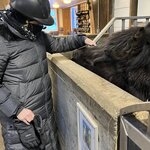 Photo taken by Debbie C