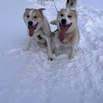 Photo taken by Lori M