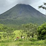 Photo taken by Lauren A